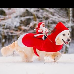 Santa Dog Costume Christmas Pet Clothes